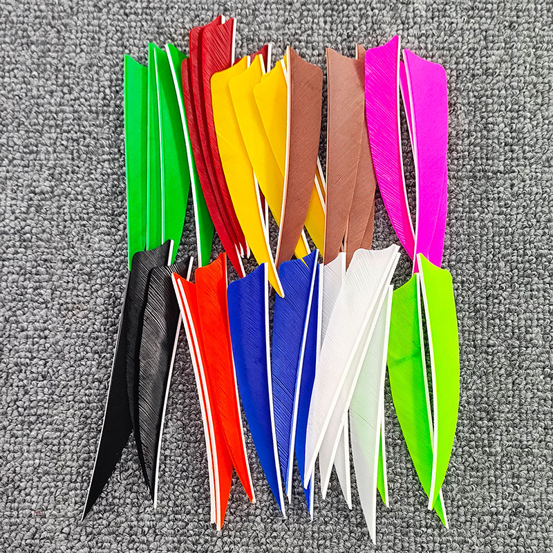 Arrow Carbon Shaft - 50 plumas de araña de pavo