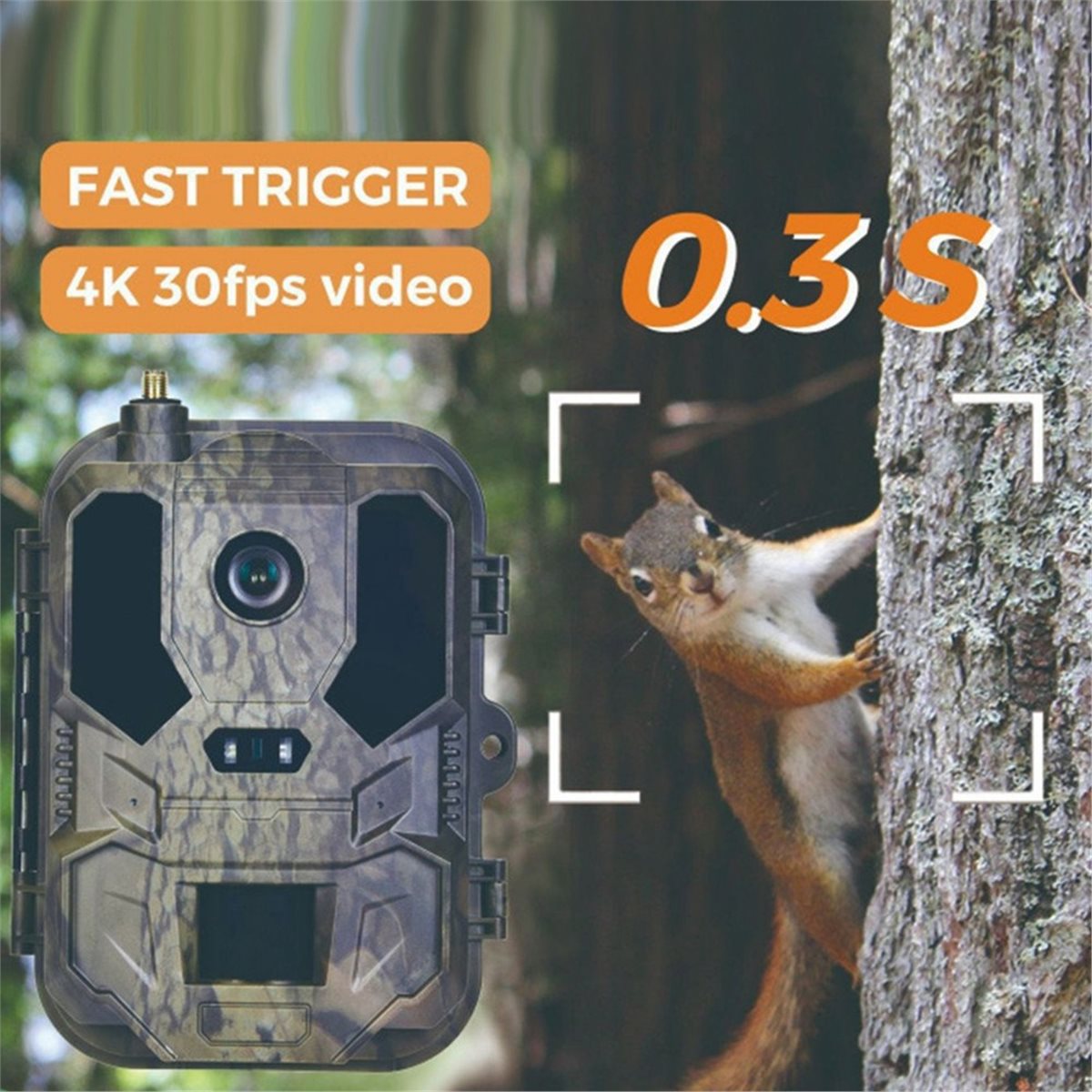 actualización. Cámara de Caza  - Hunting Outdoor Shows reseña y precio