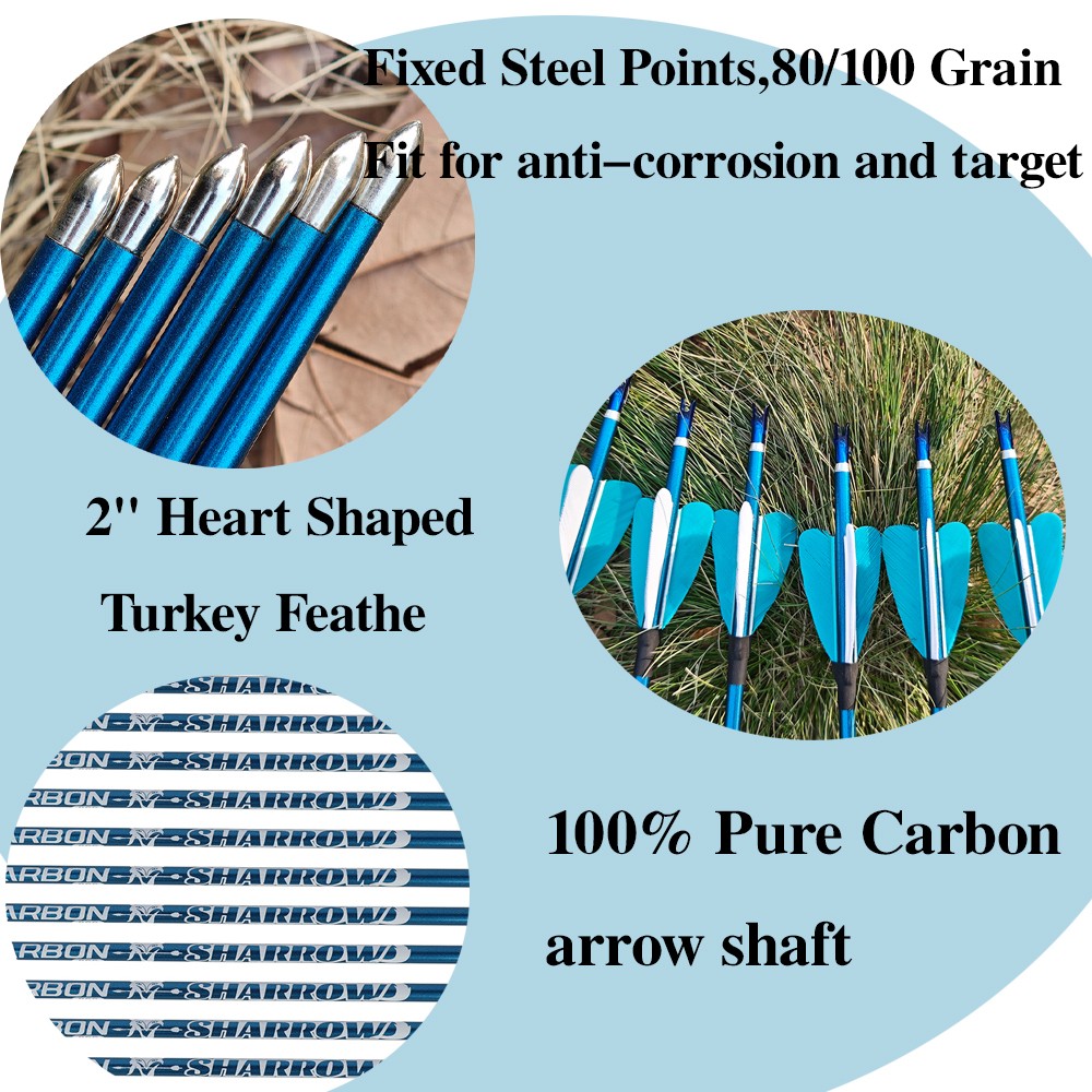 Flechas de Carbono Puro para T - Arrow Carbon Shaft reseña y precio